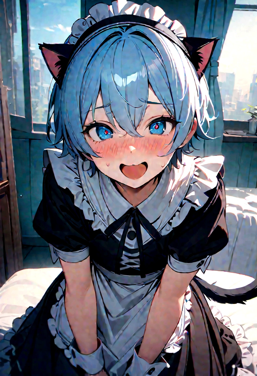 1 boy in maid costume, Shota, Cat ear, Cat&#39;s Tail,,  Embarrassed, (masterpiece), Highest quality, Expressive eyes, Perfect Face, smile, Open your mouth, Full Color, detailed, 8K, 4K, High resolution, Symmetric, Extraordinary cuteness, Best aesthetics, Maid clothes　cute　　Light blue hair　Odd Eye　hoodie　Naughty　sexual behavior　Sex　