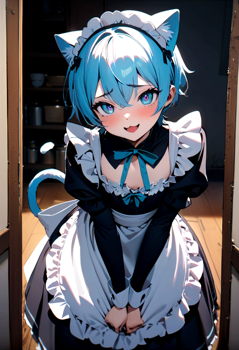 1 boy in maid costume, Shota, Cat ear, Cat's Tail,, Embarrassed, (masterpiece), Highest quality, Expressive eyes, Perfect Face, smile, Open your mouth, Full Color, detailed, 8K, 4K, High resolution, Symmetric, Extraordinary cuteness, Best aesthetics, Maid clothes cute Light blue hair Odd Eye hoodie Naughty sexual behavior Sex