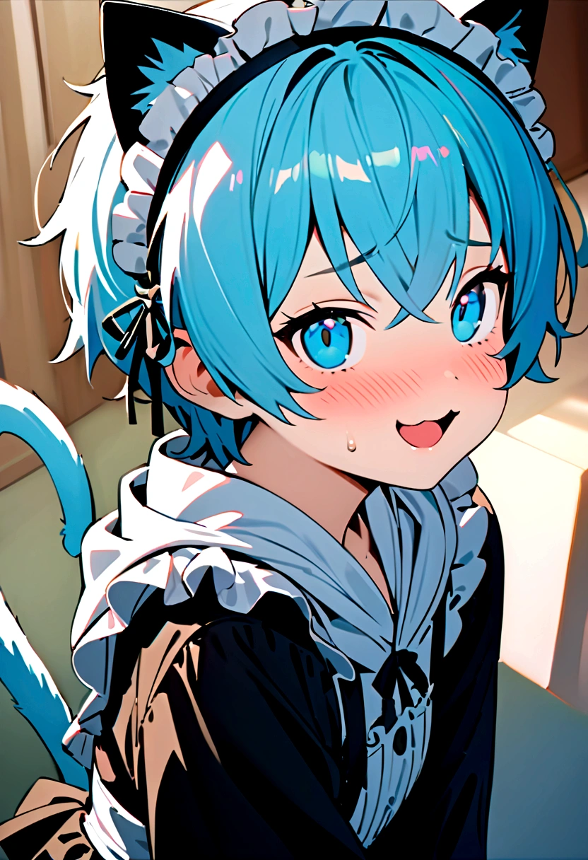 1 boy in maid costume, Shota, Cat ear, Cat's Tail,, Embarrassed, (masterpiece), Highest quality, Expressive eyes, Perfect Face, smile, Open your mouth, Full Color, detailed, 8K, 4K, High resolution, Symmetric, Extraordinary cuteness, Best aesthetics, Maid clothes cute Light blue hair Odd Eye hoodie Naughty sexual behavior Sex