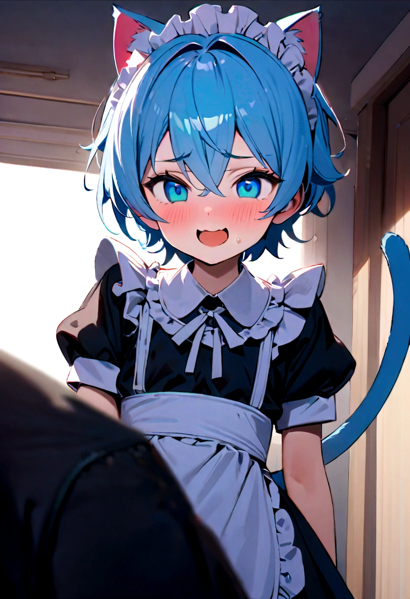 1 boy in maid costume, Shota, Cat ear, Cat&#39;s Tail,,  Embarrassed, (masterpiece), Highest quality, Expressive eyes, Perfect Face, smile, Open your mouth, Full Color, detailed, 8K, 4K, High resolution, Symmetric, Extraordinary cuteness, Best aesthetics, Maid clothes　cute　　Light blue hair　Odd Eye　hoodie　Naughty　sexual behavior　Sex　