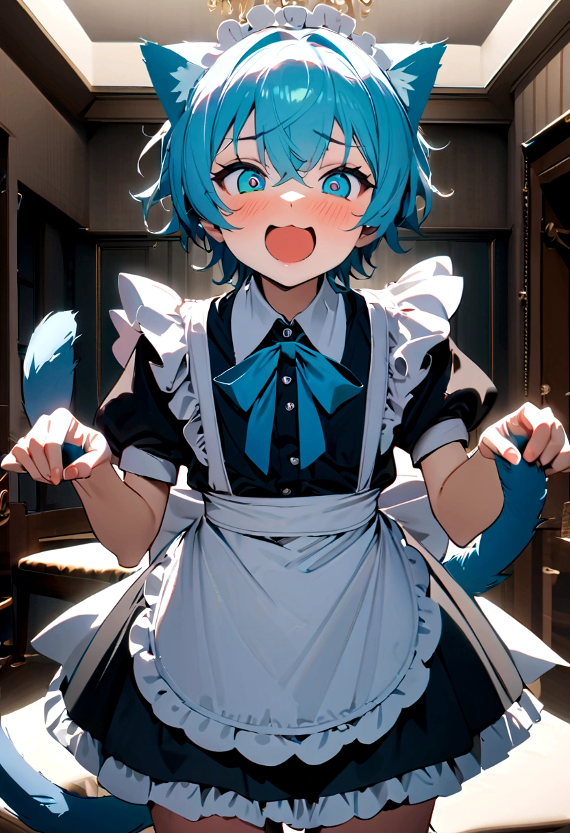1 boy in maid costume, Shota, Cat ear, Cat's Tail,, Embarrassed, (masterpiece), Highest quality, Expressive eyes, Perfect Face, smile, Open your mouth, Full Color, detailed, 8K, 4K, High resolution, Symmetric, Extraordinary cuteness, Best aesthetics, Maid clothes cute Light blue hair Odd Eye hoodie Naughty sexual behavior Sex