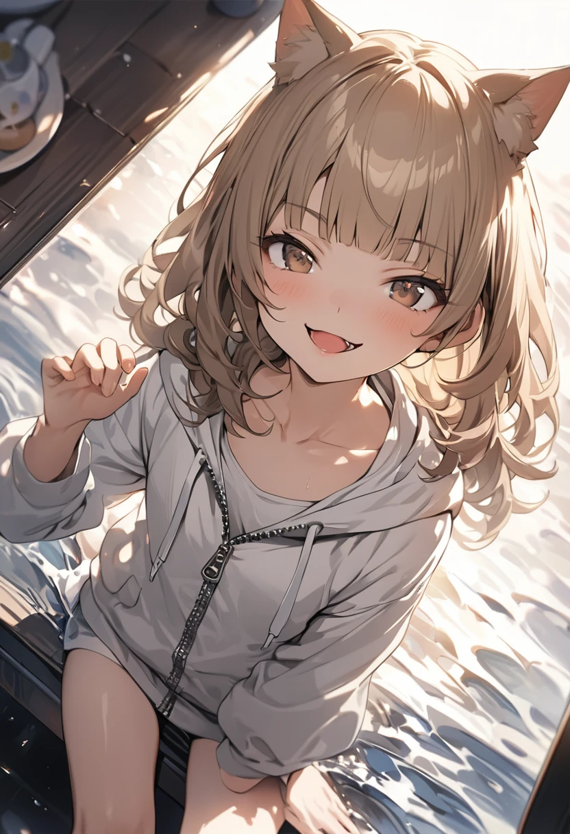 ((Masterpiece)), ((best quality)), (Anime:1.3), (super detail:1.2),(High Definition:1.3), (Professional Photography:1.2), (wide shot), (sharp focus), (perfect light), (()), from above, (morning), messy medium hair, Beautiful collarbone, (cute hoodie with zipper), white tanktop, (Healthy slim body), (loose blunt bangs), Slender body, glossy skin, (smirk), open mouth, ((Beautiful brown eyes)), Textured skin, (Cat ears), Pale brown hair, Cute Beautiful Girl, (slightly exposed small chest), BREAK, ((best quality)), ((Salute Pose)), sitting on the Mirror-reflected shallows, (sharp focus), perfect hands, (perfect light),