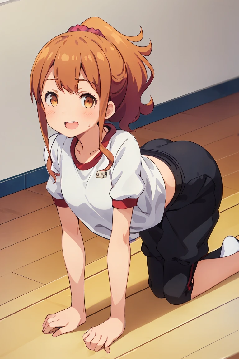 Highest quality, (masterpiece:1.2), Very detailed,
Outdoor, cloud,
Megumi Kamino,
1 Girl, alone, Are standing, Looking at the audience, Open your mouth, smile, teeth,
Brown Hair, ponytail, Brown eyes, Scrunchie, Heart Necklace,
,(((Black Bloomers, School, Gym Shirt, White T-shirt, Gym suit, Photo of girl in wooden floor School gym room))),Bloomers are bikini type ,Dynamic Angle ,On all fours,Crawl,Sweat,