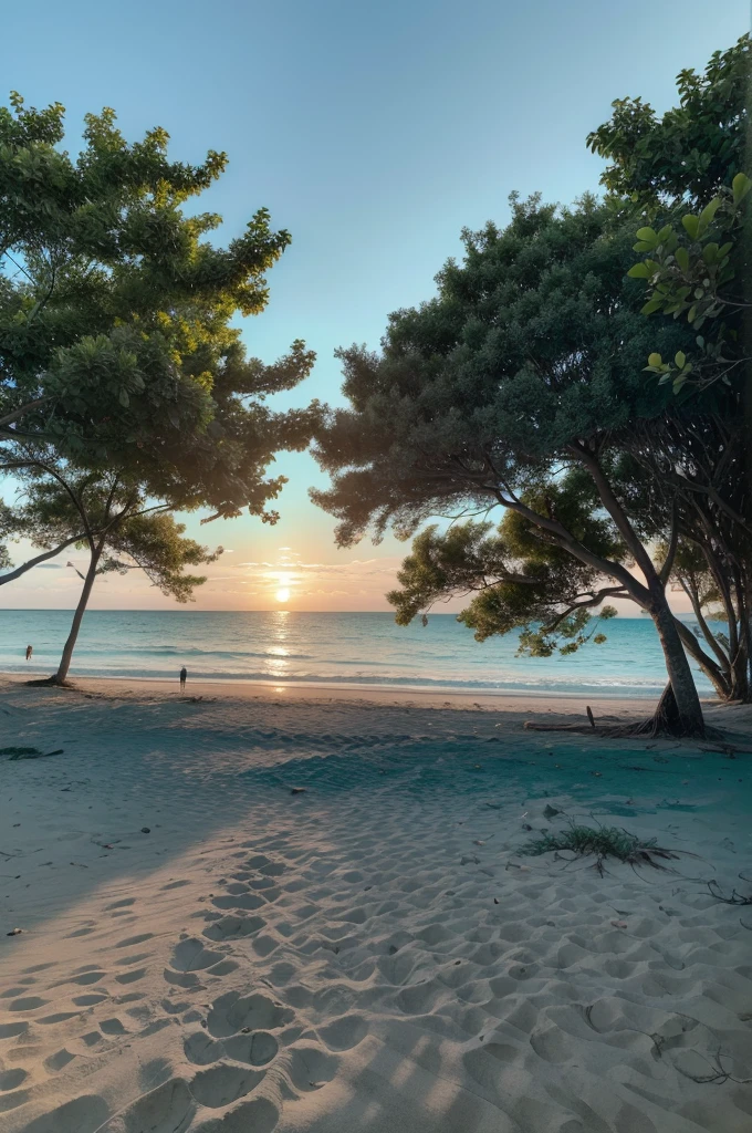 Time: Late afternoon, with the sun starting to set.
Location: Beach with tall, leafy coconut trees swaying in the gentle breeze.
Sky: Gradient from light blue to purple, with some thin white clouds.
Elements:
Fine golden sand.
Crystal clear and calm sea water, with shades of turquoise blue and emerald green.
Birds flying across the sky.
Style: Photographic realistic, with a focus on details and natural afternoon lighting.
Emotion: Tranquility, peace and relaxation.