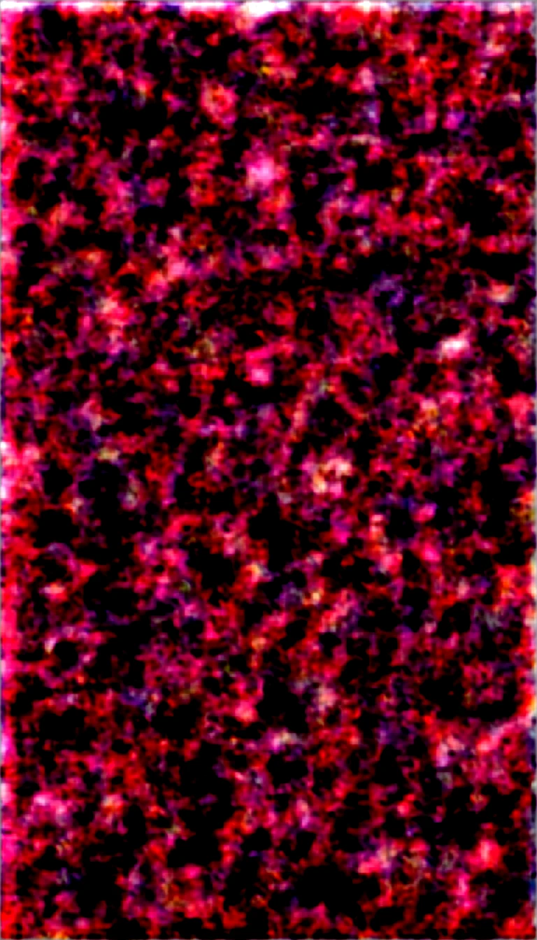 (highest quality:1.2, Very detailed, Latest, Vibrant, Ultra-high resolution, High Contrast, masterpiece:1.2, highest quality, Best aesthetics), Beautiful adult woman, tall height ,solo masturbation, nude, squatting, open legs, bare breasts, slim body, vibrator, show off nipples, pussy, (open mouth:1.5), (tongue out:1.4), (blushing:1.4), orgasm, (trembling:1.5), (love juice:1.5), pov, looking at viewer, heat shaped pupils , (drooling:1.5), sweaty skin, (breast milk:1.5). full body