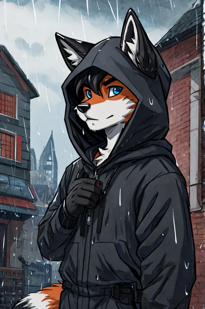 Male fox, he would have blue eyes, black hair, a long black tail, it would be raining, he would be wearing a hood holding a pistol, he would be looking at the sky, and