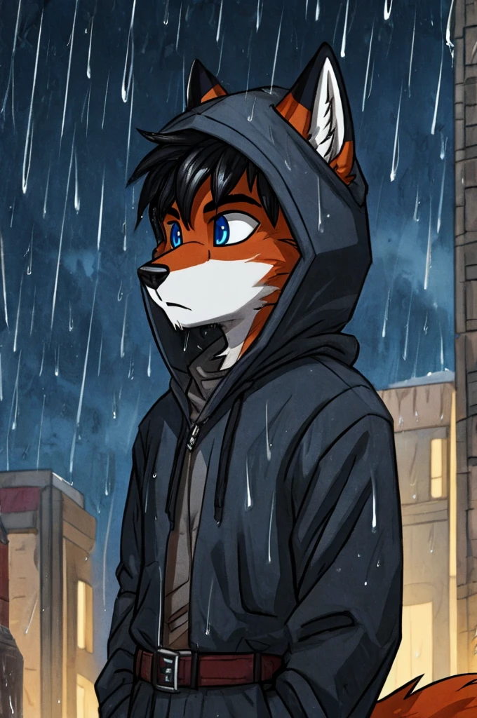 Male fox, he would have blue eyes, black hair, a long black tail, it would be raining, he would be wearing a hood holding a pistol, he would be looking at the sky, and
