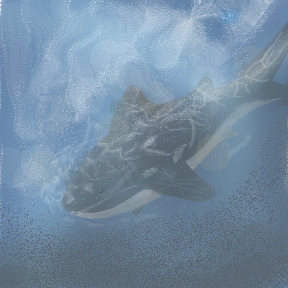 there is a Shark swimming in the water with a blue water behind it, Shark, megalodonte, ocean, anthropomorphic Shark, sharp digitalpainting, great white Shark, realistic illustration, by Thomas Dalziel, rendering, art admirer, sketch of an ocean in ms paint, the brittle. digitalpainting, air brush illustration, photoreal”