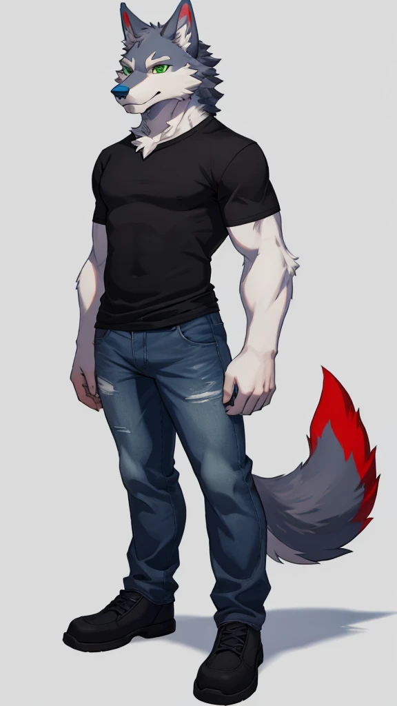 Furry wolf male anthropomorphic white fur green eyes blue nose red tail wearing a black shirt and jeans full body 