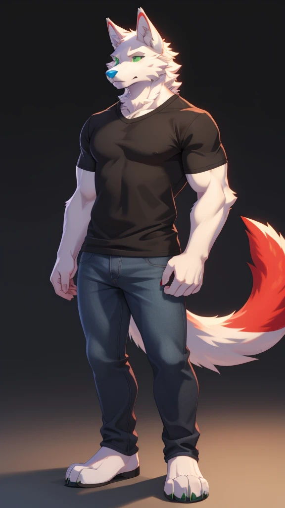 Furry wolf male anthropomorphic white fur green eyes blue nose red tail wearing a black shirt and jeans full body