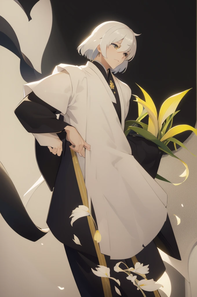 Man, hair half-black half-white, chinese, peasant robes, one yellow iris, one black iris.
