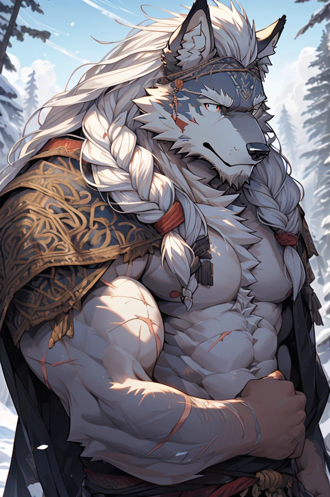 (masterpiece),(highres),(intricate details:1.4),extremely detailed,(illustration:1.2),8k,photorealistic,Anime headshot,exquisite,aged,elder male wolf,grey fur,muscular,general,(naked upper body:1.4),(white hair:1.3),long hair,braided hair,beard,scar,naked,cold northern area,battle,war,badly damaged,bleeding,injured body 