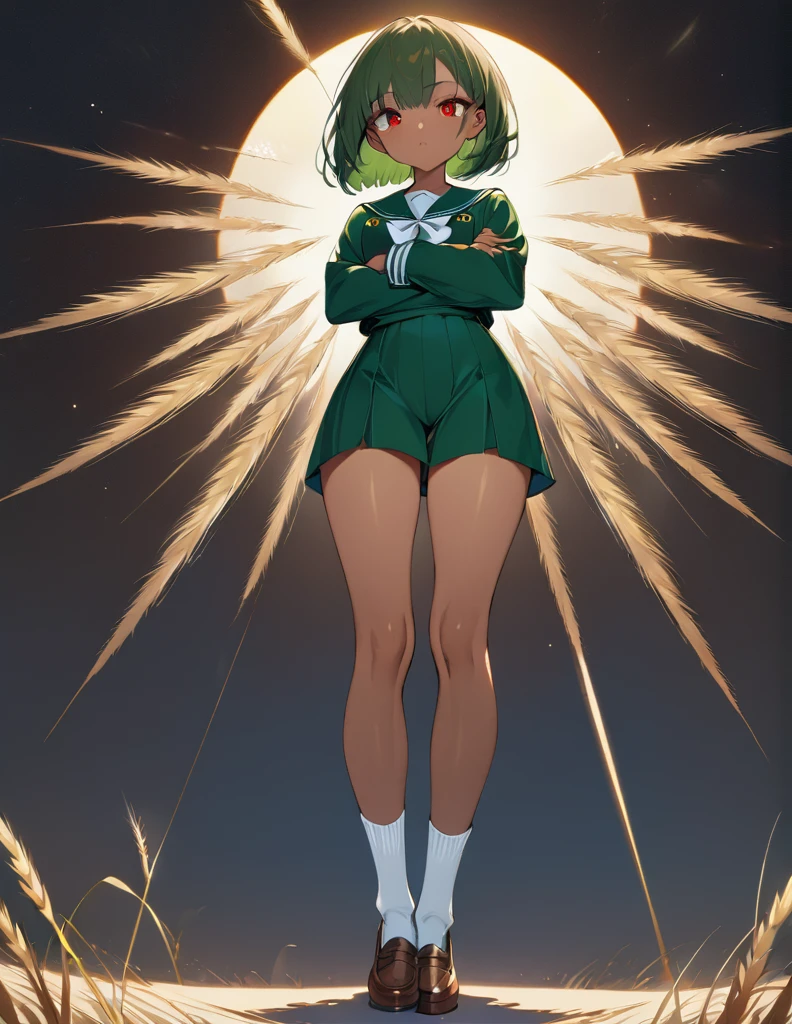 Highest quality, masterpiece, Ultra-high resolution, One girl,
bionde、Smooth Hair、Two-tone hair、Bobcut、Red Eyes、Sparkling Eyes、Detailed eyes、Slanted Eyes、Tanned, wheat-colored skin、Brown Skin、Traditional deep green sailor suit、White socks、loafers、whole body、Low - Angle、Fanning angles、Fantastic scene、Standing with your legs apart、Arms crossed、Confident expression、The full moon appears to be the same size as the large white body.