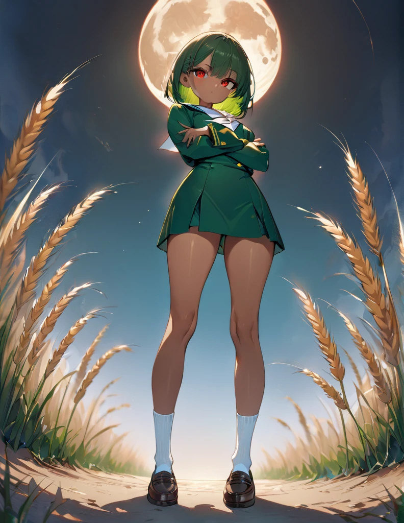 Highest quality, masterpiece, Ultra-high resolution, One girl,
bionde、Smooth Hair、Two-tone hair、Bobcut、Red Eyes、Sparkling Eyes、Detailed eyes、Slanted Eyes、Tanned, wheat-colored skin、Brown Skin、Traditional deep green sailor suit、White socks、loafers、whole body、Low - Angle、Fanning angles、Fantastic scene、Standing with your legs apart、Arms crossed、Confident expression、The full moon appears to be the same size as the large white body.