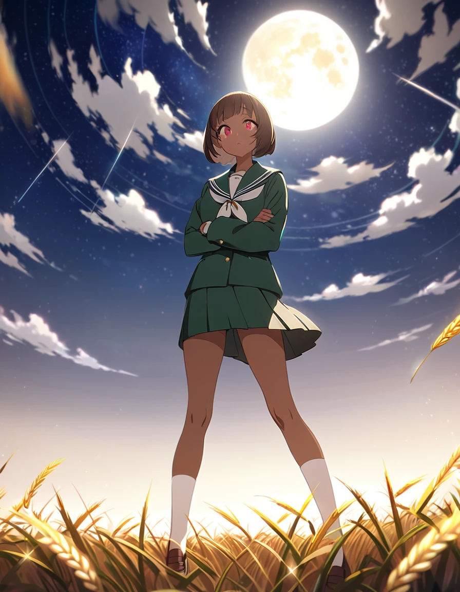 Highest quality, masterpiece, Ultra-high resolution, One girl,

bionde、Smooth Hair、Two-tone hair、Bobcut、Red Eyes、Sparkling Eyes、Detailed eyes、Slanted Eyes、Tanned, wheat-colored skin、Brown Skin、Traditional deep green sailor suit、White socks、loafers、whole body、Low - Angle、Fanning angles、Fantastic scene、Standing with your legs apart、Arms crossed、Confident expression、The full moon appears to be the same size as the large white body.