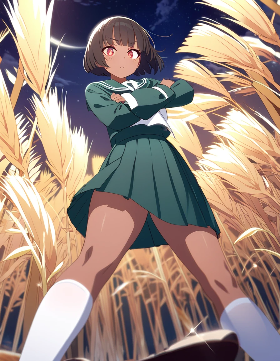 Highest quality, masterpiece, Ultra-high resolution, One girl,

bionde、Smooth Hair、Two-tone hair、Bobcut、Red Eyes、Sparkling Eyes、Detailed eyes、Slanted Eyes、Tanned, wheat-colored skin、Brown Skin、Traditional deep green sailor suit、White socks、loafers、whole body、Low - Angle、Fanning angles、Fantastic scene、Standing with your legs apart、Arms crossed、Confident expression、The full moon appears to be the same size as the large white body.