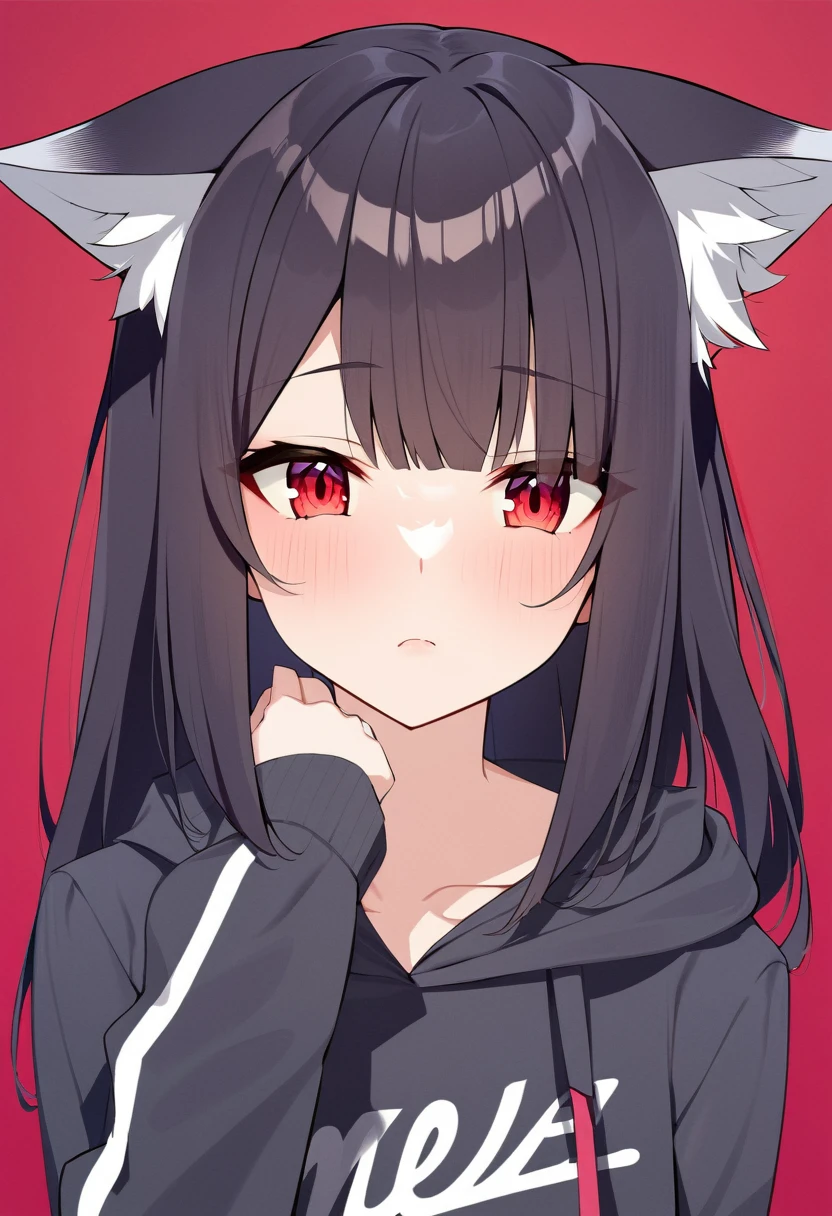 one girl, wolf ears, shy, naive, cute, girl is falling in loye with me, stare at me, beautiful red eyes, energetic girl, my student, cool beauty