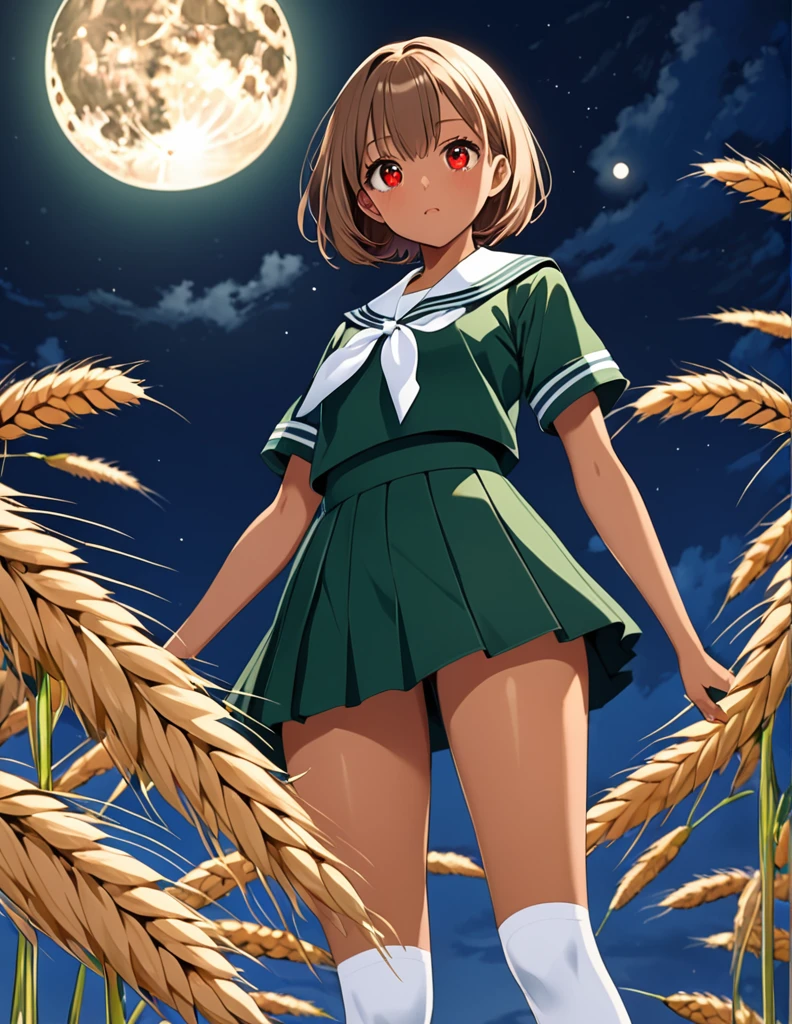 Highest quality, masterpiece, Ultra-high resolution, One girl,

bionde、Smooth Hair、Two-tone hair、Bobcut、Red Eyes、Sparkling Eyes、Detailed eyes、Slanted Eyes、Tanned, wheat-colored skin、Brown Skin、Traditional deep green sailor suit、White socks、loafers、whole body、Low - Angle、Fanning angles、Fantastic scene、Standing with your legs apart、Arms crossed、Confident expression、The full moon appears to be the same size as the large white body.