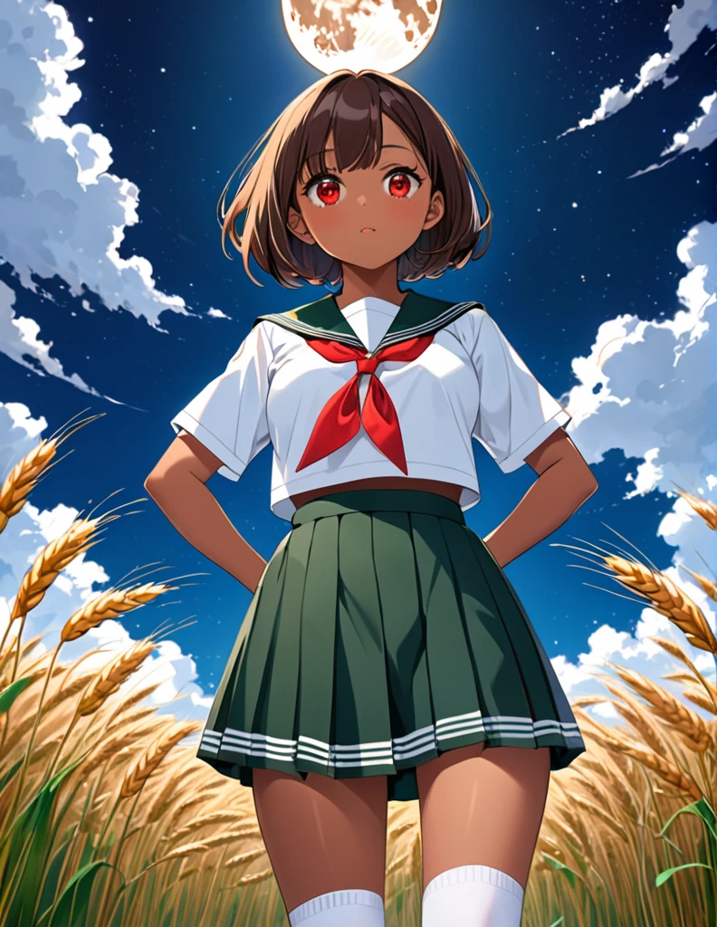 Highest quality, masterpiece, Ultra-high resolution, One girl,

bionde、Smooth Hair、Two-tone hair、Bobcut、Red Eyes、Sparkling Eyes、Detailed eyes、Slanted Eyes、Tanned, wheat-colored skin、Brown Skin、Traditional deep green sailor suit、White socks、loafers、whole body、Low - Angle、Fanning angles、Fantastic scene、Standing with your legs apart、Arms crossed、Confident expression、The full moon appears to be the same size as the large white body.