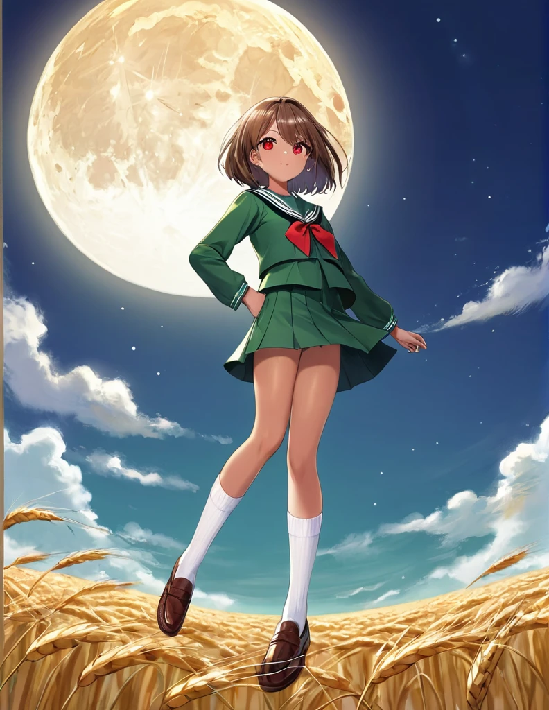 Highest quality, masterpiece, Ultra-high resolution, One girl,
bionde、Smooth Hair、Two-tone hair、Bobcut、Red Eyes、Sparkling Eyes、Detailed eyes、Slanted Eyes、Tanned, wheat-colored skin、Brown Skin、Traditional deep green sailor suit、White socks、loafers、whole body、Low - Angle、Fanning angles、Fantastic scene、Standing with your legs apart、Arms crossed、Confident expression、The full moon appears to be the same size as the large white body.