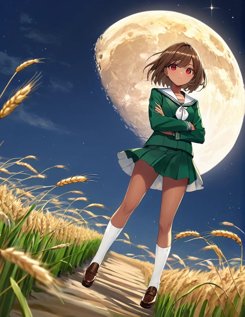Highest quality, masterpiece, Ultra-high resolution, One girl,

bionde、Smooth Hair、Two-tone hair、Bobcut、Red Eyes、Sparkling Eyes、Detailed eyes、Slanted Eyes、Tanned, wheat-colored skin、Brown Skin、Traditional deep green sailor suit、White socks、loafers、whole body、Low - Angle、Fanning angles、Fantastic scene、Standing with your legs apart、Arms crossed、Confident expression、The full moon appears to be the same size as the large white body.