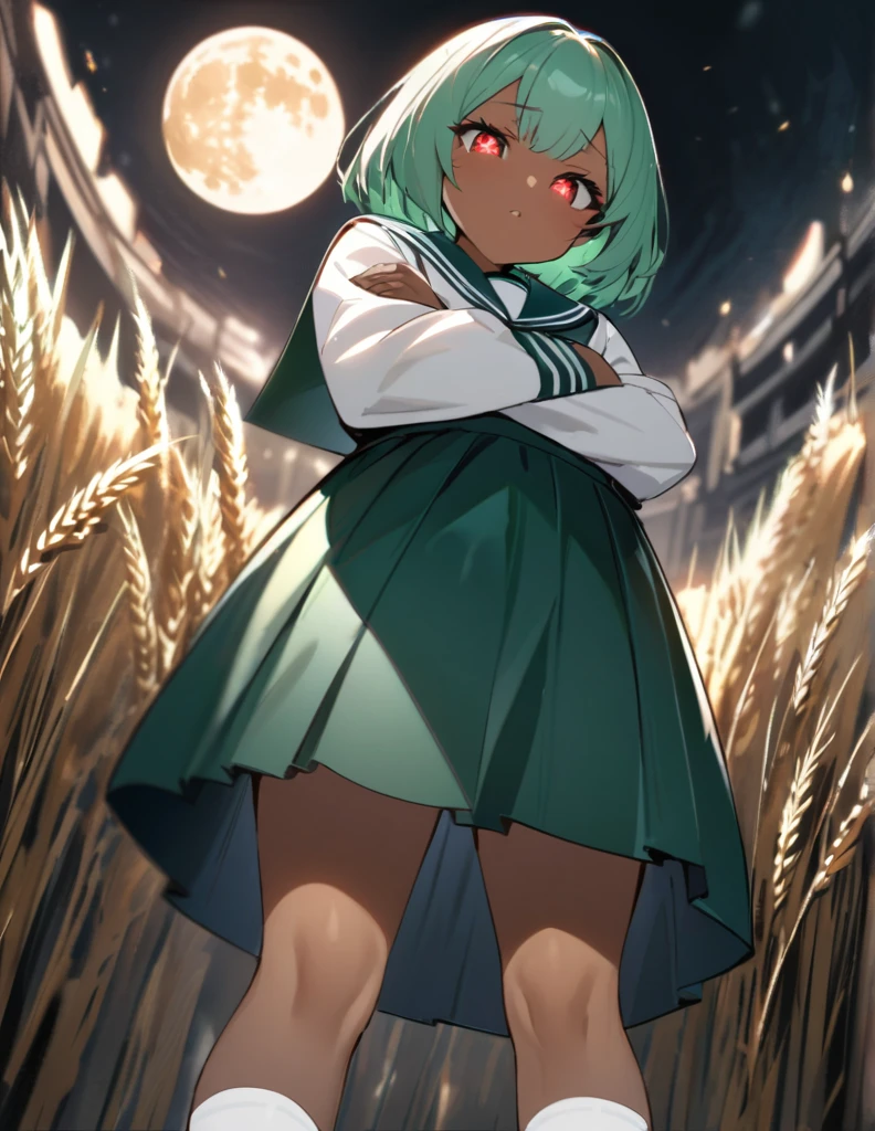 Highest quality, masterpiece, Ultra-high resolution, One girl,
bionde、Smooth Hair、Two-tone hair、Bobcut、Red Eyes、Sparkling Eyes、Detailed eyes、Slanted Eyes、Tanned, wheat-colored skin、Brown Skin、Traditional deep green sailor suit、White socks、loafers、whole body、Low - Angle、Fanning angles、Fantastic scene、Standing with your legs apart、Arms crossed、Confident expression、The full moon appears to be the same size as the large white body.