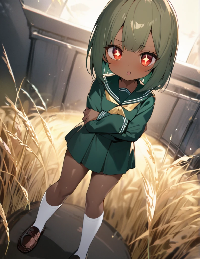 Highest quality, masterpiece, Ultra-high resolution, One girl,
bionde、Smooth Hair、Two-tone hair、Bobcut、Red Eyes、Sparkling Eyes、Detailed eyes、Slanted Eyes、Tanned, wheat-colored skin、Brown Skin、Traditional deep green sailor suit、White socks、loafers、whole body、Low - Angle、Fanning angles、Fantastic scene、Standing with your legs apart、Arms crossed、Confident expression、The full moon appears to be the same size as the large white body.