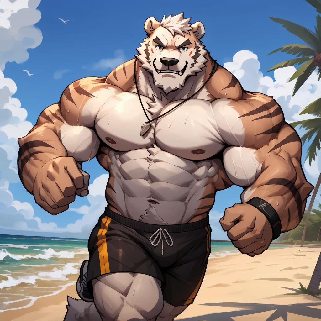 solo, 1boy, Huge Muscular White Polar Bear Dad Dude, huge white fur, pectoral, huge pectoral, wide pectoral, short white hair, blue-colored short trunks, black wristbands and shirtless topless, bearded, white Mustache, white fur, tooth necklace, beach background, masterpiece, high detailed, 8k, high resolution, at the beach, running and jogging on the beach sands being athletic in sweat
