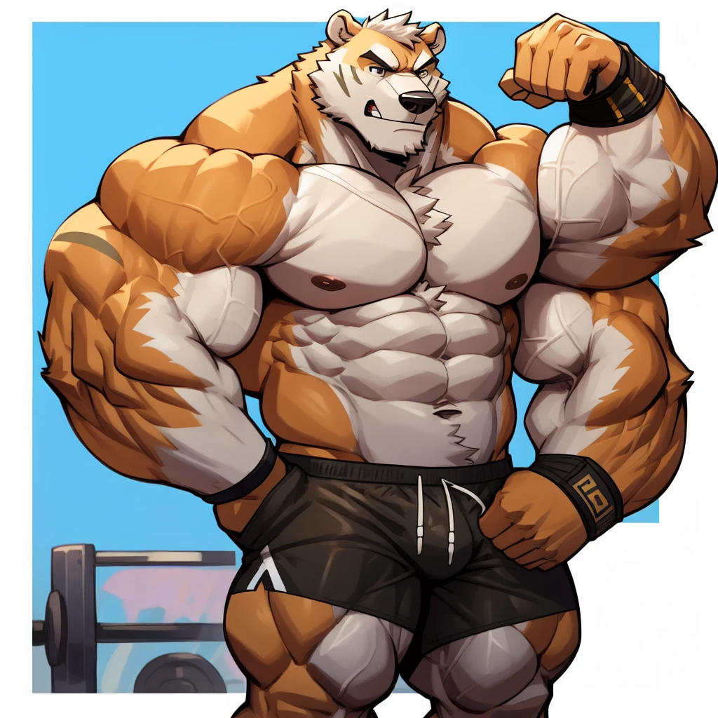 Huge muscular thick white Polar Bear bodybuilder shirtless in blue gym shorts and wristbands flexing grunting and posing his chests at the mirror looking at his muscles really really pumped up hardcore.
