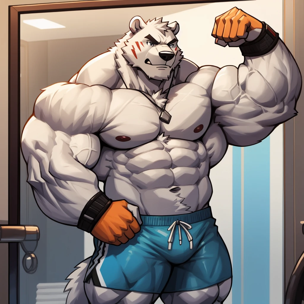 Huge muscular thick white Polar Bear bodybuilder huge white arctic fur shirtless in blue gym shorts and wristbands flexing, grunting and posing his chests at the mirror looking at his muscles really really pumped up hardcore.