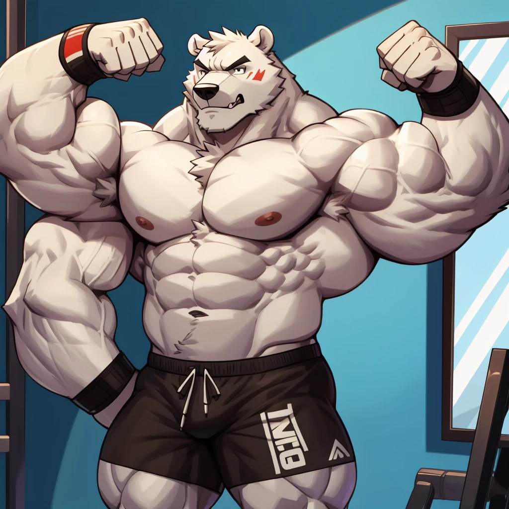 Huge muscular thick white Polar Bear bodybuilder huge white arctic fur shirtless in blue gym shorts and wristbands flexing, grunting and posing his chests at the mirror looking at his muscles really really pumped up hardcore.