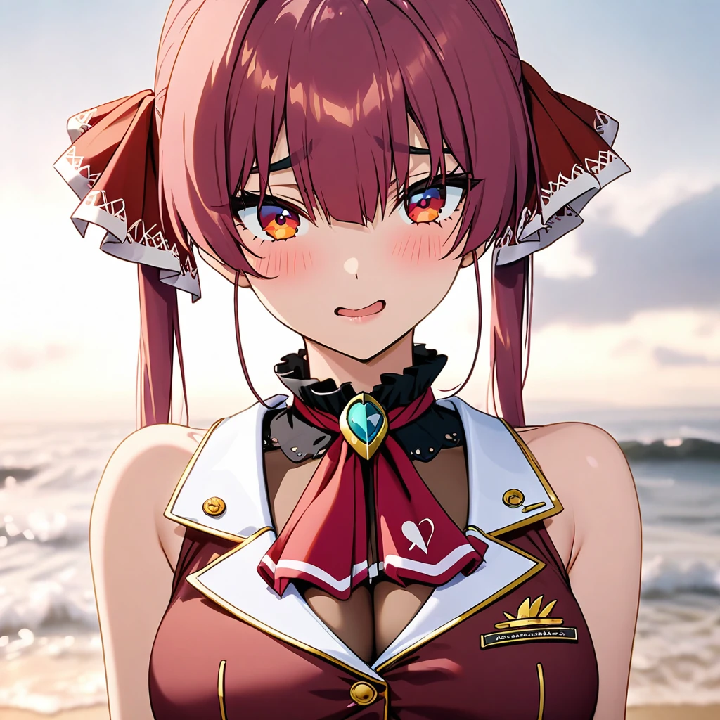 houshou marine