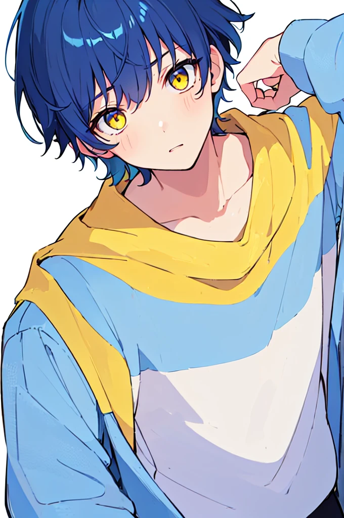 [(WHITE BACKGROUND:1.5),::5], ((((masterpiece)))), high quality, very_high_resolution, large_filesize, upper body, full color, ((Solo)), ((little boy)), 13 old year, men's short deepblue hair, vivid color, ((yellow eye)), Summer clothes white, animestyle,