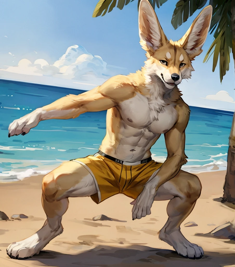 (solo,furry,anthro,realistic), male, breakdancing, front view, muscular body, Fennec, wearing yellow boxer shorts, beach, blurred background, by bebebebebe:1.2, by buta99, by foxovh, by ruan jia