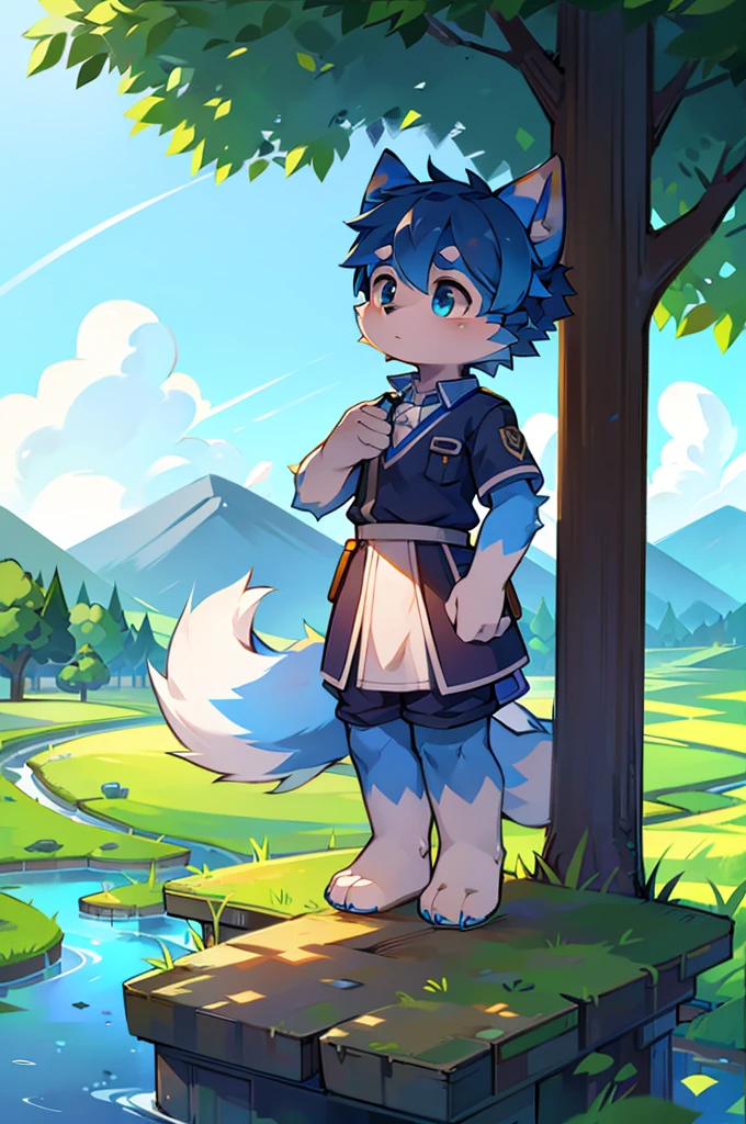 Blue fur, Canine, fox motif, boy, uniform,expensive,One person,Stand up on your own feet,expensive,Cityscape,expensive,,Rural Scenery,Rice field scenery,No hair,