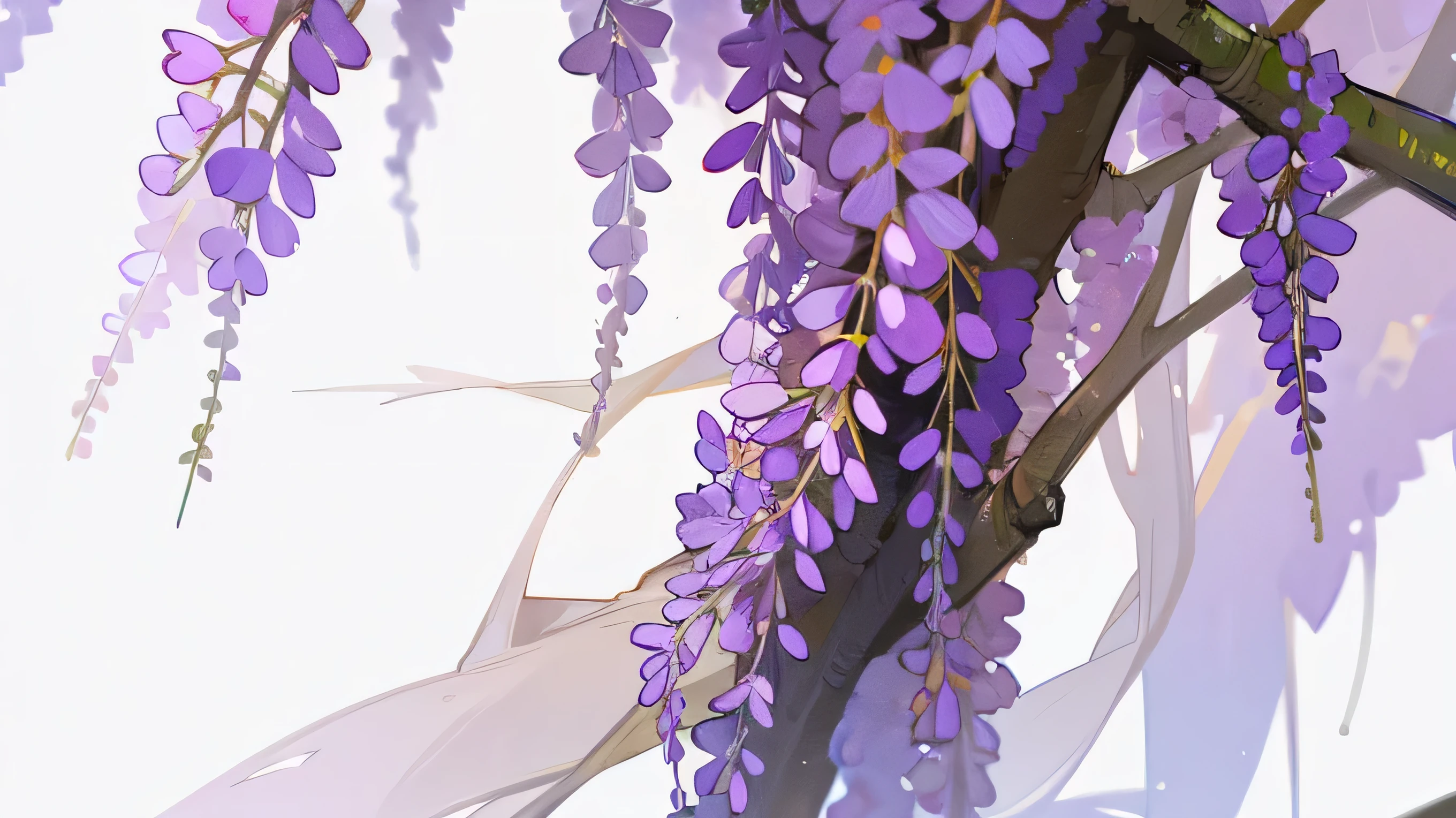 wisteria purple flower, white background