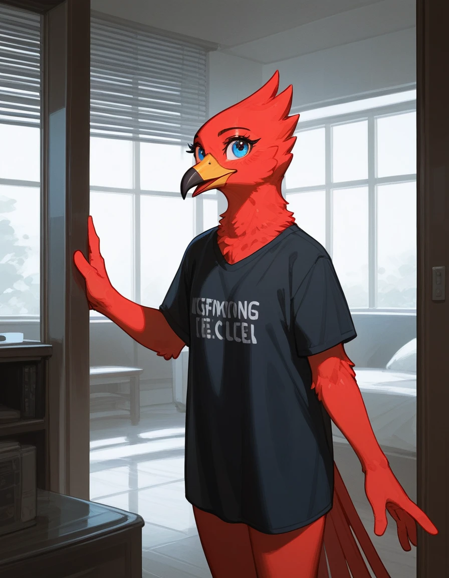 score_9,score_8_up,score_7_up, flat colors, an anthro red avian girl, wingless:1.2, red feathered body, red feathered crest on head, beak, 3 toes,  blue eyes, naked, standing indoors, wearing black t shirt