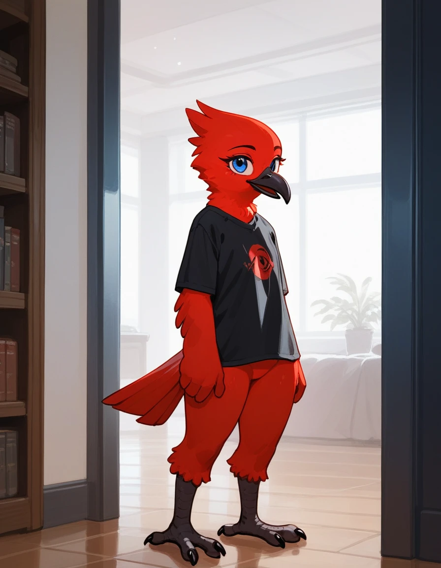 Solo, score_9,score_8_up,score_7_up, flat colors, an anthro red avian girl, wingless:1.2, red feathered body, red feathered crest on head, beak, 3 toes, blue eyes, naked, standing indoors, wearing black t shirt