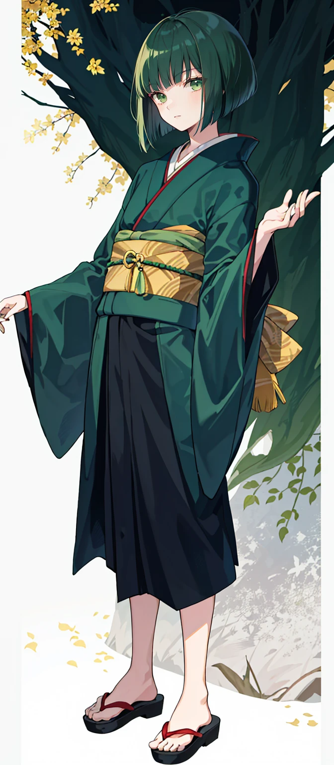 1 boy, 24 years old, full body, blunt bangs, Bob cut, dark green hair, kimono, Haori,