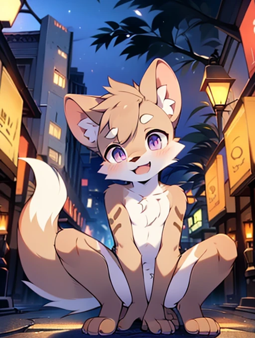 Civet cat, Little Boy, cute, (alone), (((Has brown and white fur))), Big purple eyes, Blushing, smile, Open your mouth, walking, night, Ancient Asian cities, bright street lights, Blue and black slate road, Empty Streets, Starry Sky, Shadow, Detailed facial depiction, ((Accurate hand drawing)), レンブラントの光とShadow, Ultra-fine，Completely naked，Naked，Naked，Full nudity，Nude，Barely，Fully visible，Spread your legs and point your crotch，Embarrassing，Embarrassed look，On all fours，Put your hands and feet on the ground，Sit like a dog，Shake hands like a dog，Four-legged，Accurate hand and foot count，Face of Shame，first round，Fantasy，Anime-style depiction，Sexual Description，