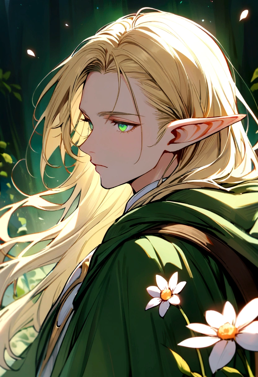 Male elf, long silky blonde hair, pink and white flower tucked behind right ear, fair skin, emerald eyes, has a hunter's bow on his back, blue and green robes that shimmers in the light, cleric