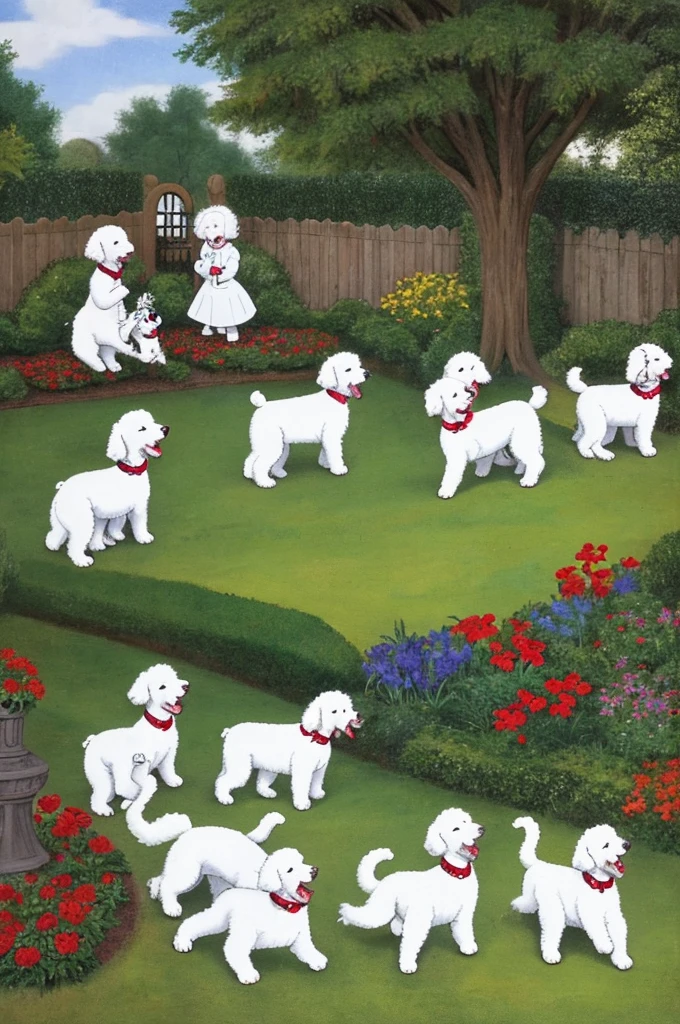 Five white poodles playing in a yard