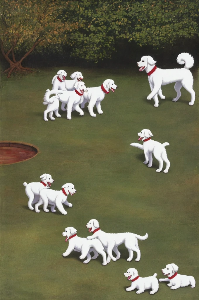 Five white poodles playing in a yard