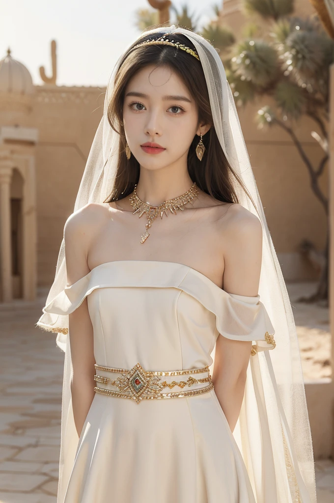 (((best quality))),(((ultra detailed))),(((masterpiece))),illustration,1girl, solo,princess, Arabic,slim,thin, ((palace, desert)),gold, gemstones,headscarf, veil on face,white sheer traditional clothing, hairband, deep eyes, elegant face, subtle smile,earrings,necklace,slender legs,sunlight, shining, serene, environment,day scene,out door,standing,((upper body,from front)),((small breasts,flat chest,arms behind back))
