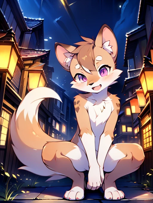 Civet cat, , cute, (alone), (((Has brown and white fur))), Big purple eyes, Blushing, smile, Open your mouth, walking, night, Ancient Asian cities, bright street lights, Blue and black slate road, Empty Streets, Starry Sky, Shadow, Detailed facial depiction, ((Accurate hand drawing)), レンブラントの光とShadow, Ultra-fine，Completely naked，Naked，Naked，Full nudity，Nude，Barely，Fully visible，Spread your legs and point your crotch，Embarrassing，Embarrassed look，On all fours，Put your hands and feet on the ground，Sit like a dog，quadruped，Accurate hand and foot count，shame，Estrus，first round，Fantasy，Anime-style depiction，