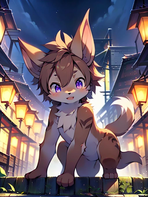 Civet cat, Little Boy, cute, (alone), (((Has brown and white fur))), Big purple eyes, Blushing, smile, Open your mouth, walking, night, Ancient Asian cities, bright street lights, Blue and black slate road, Empty Streets, Starry Sky, Shadow, Detailed facial depiction, ((Accurate hand drawing)), レンブラントの光とShadow, Ultra-fine，Completely naked，Naked，Naked，Full nudity，Nude，Barely，Fully visible，Spread your legs and point your crotch，Embarrassing，Embarrassed look，On all fours，Put your hands and feet on the ground，Sit like a dog，quadruped，Accurate hand and foot count，shame，Estrus，first round，Fantasy，Anime-style depiction，