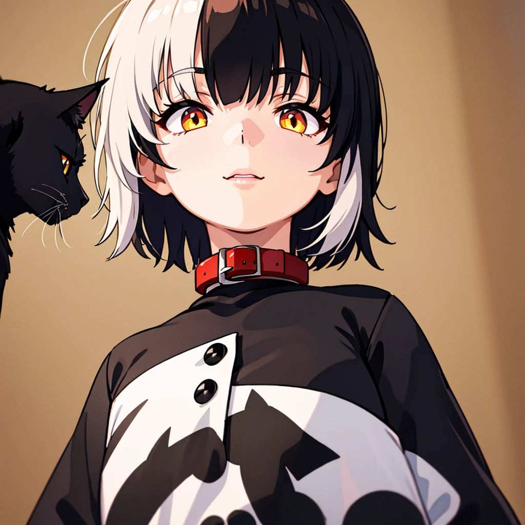 black cat、Red collar、high quality, 8K、Best illustrations、(From below)