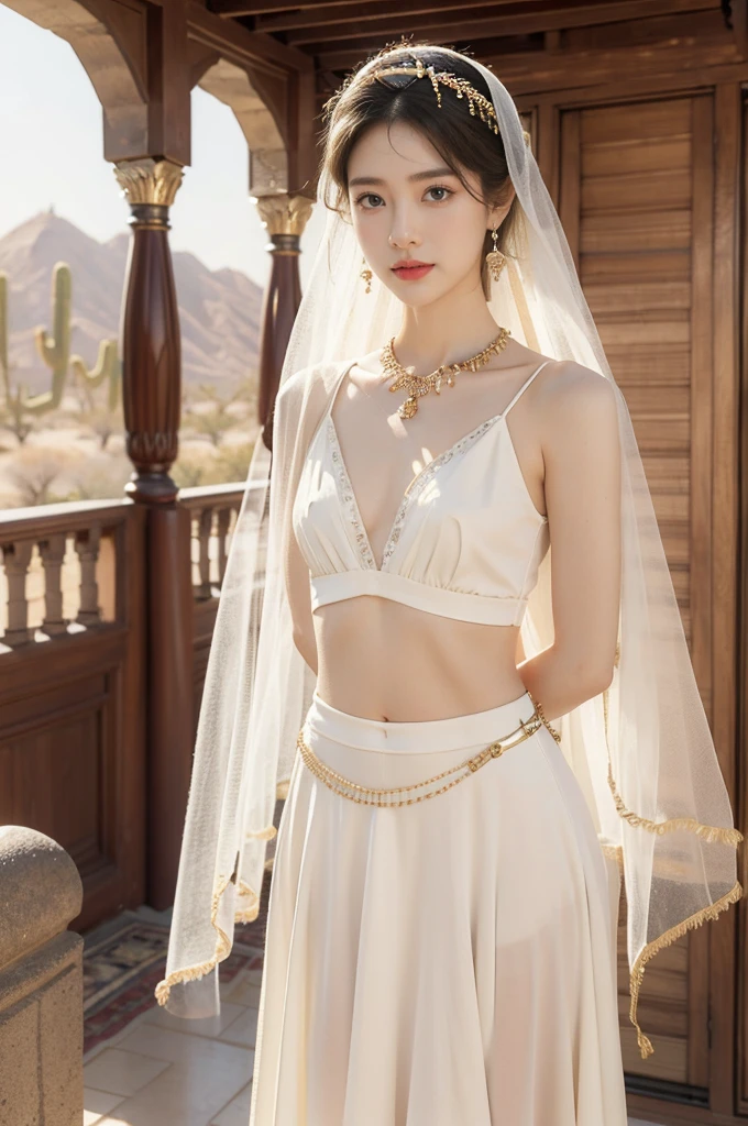 (((best quality))),(((ultra detailed))),(((masterpiece))),illustration,1girl, solo,princess, Arabic,slim,thin, ((palace, desert)),gold, gemstones,headscarf, veil on face,white sheer traditional clothing, hairband, deep eyes, elegant face, subtle smile,earrings,necklace,bare legs,sunlight, shining, serene, environment,day scene,out door,standing,from front,((small breasts,flat chest,arms behind back))
