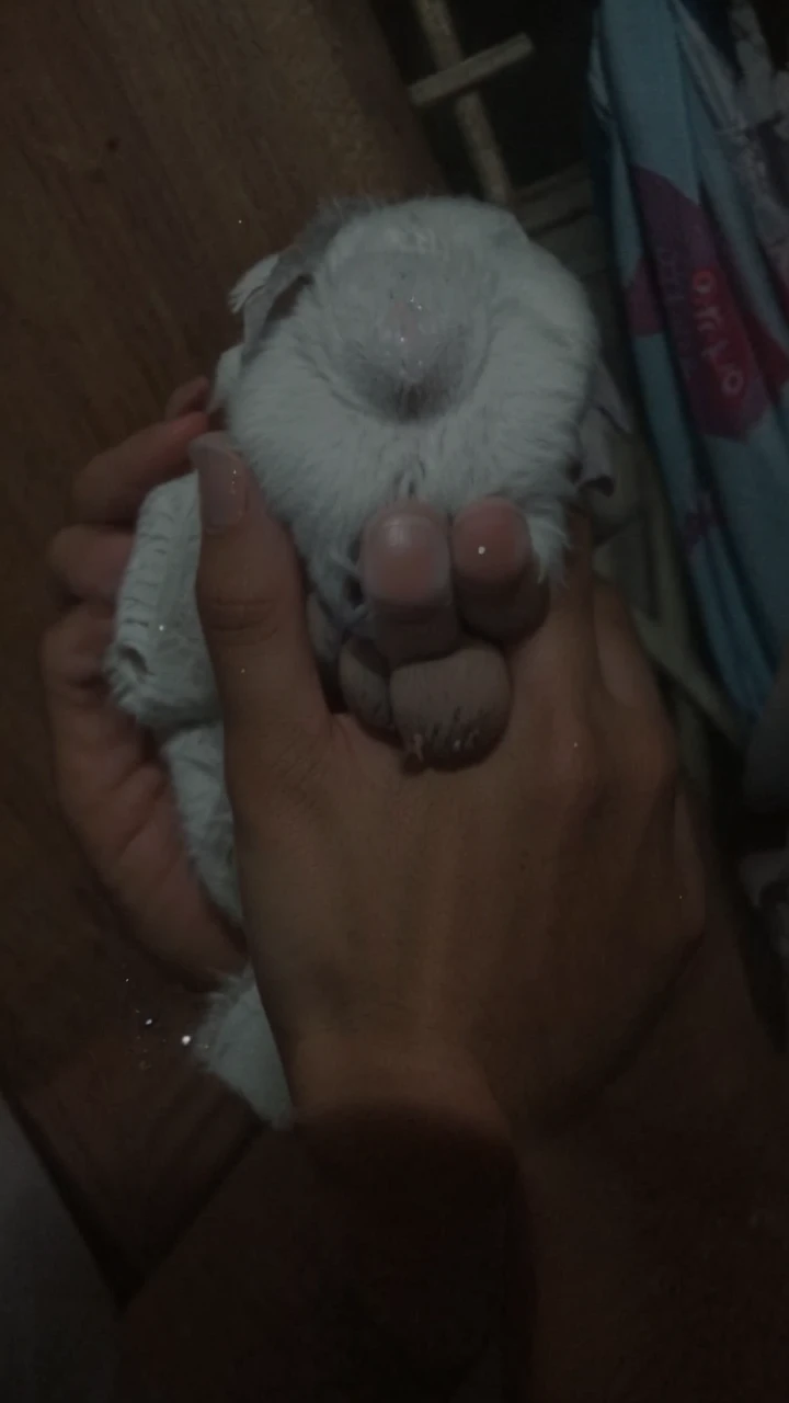 Make it a hand of a man