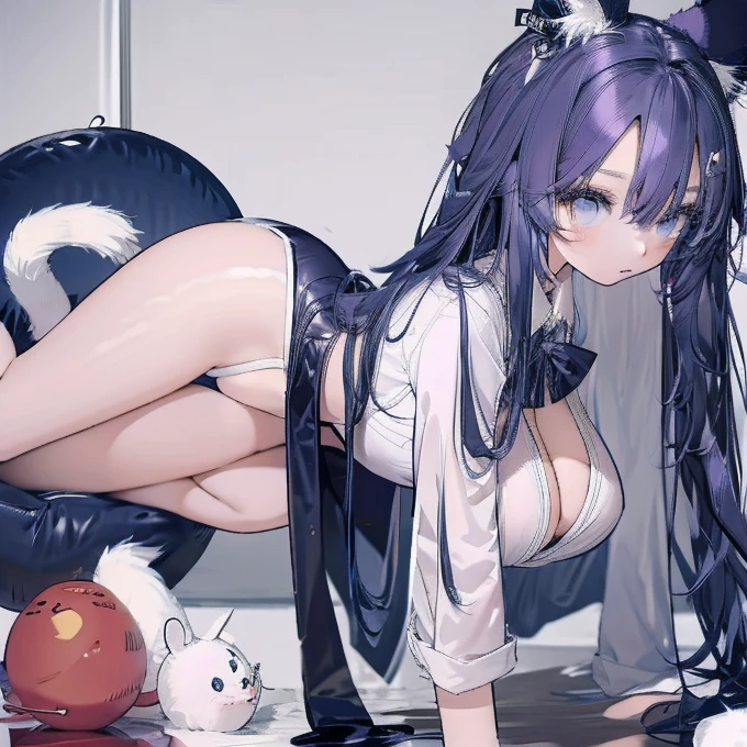 Taiwanese girl 18 years old with baby face and big breasts Asian woman wearing white shirt and black shorts lying on yoga mat,Anime Girls Cosplay,cat ears and tail, cat ears anime girl, Ahri from League of Legends is a girl wearing a maid outfit,have big breasts,There are three women in maid costumes,Doing push-ups on mat in gym,charming depiction,Lively and dynamic